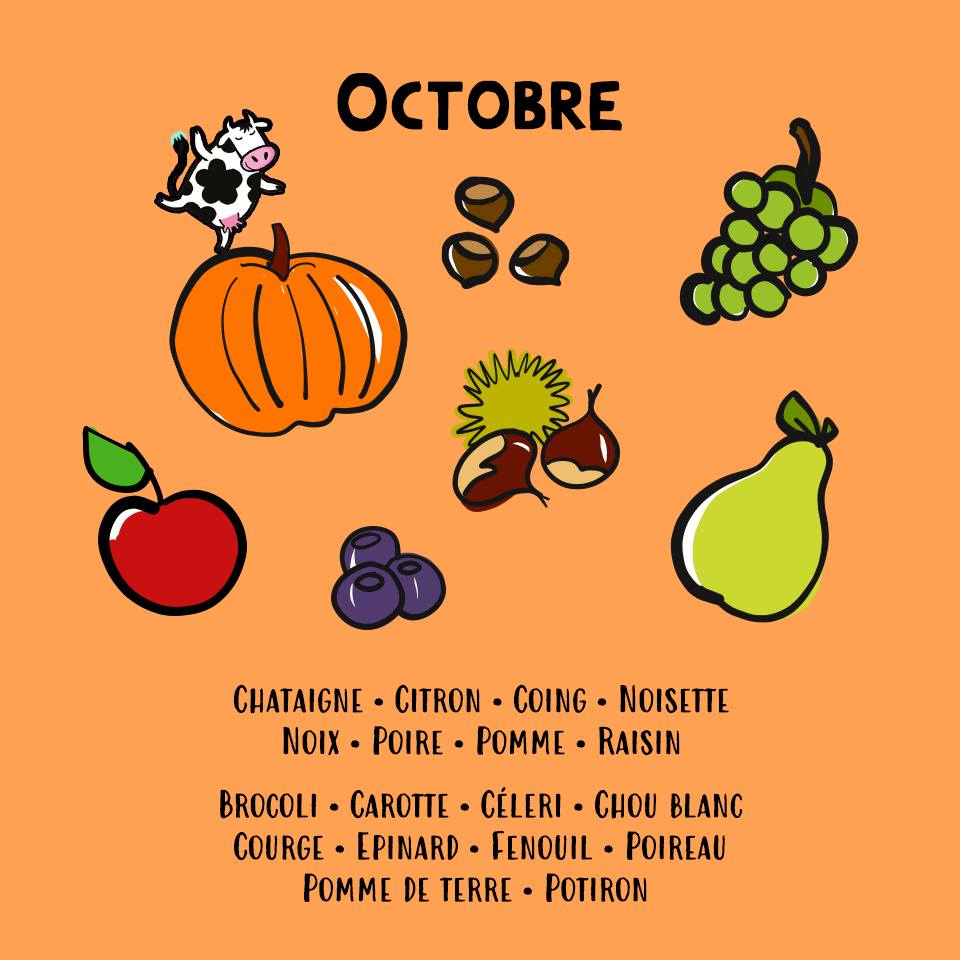 20171003_insign-l2v-design-fruitsdesaison-octobre-v1-pomme3.png