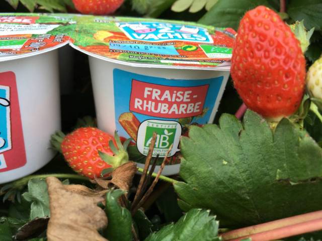 produit_fraise_rhubarbe_3_0.jpg